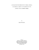 Sejour, Raquel_MES Thesis_Fall 2024