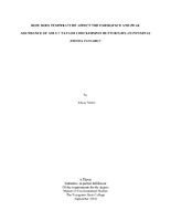 Netter_Alicia_MES Thesis_September 2024